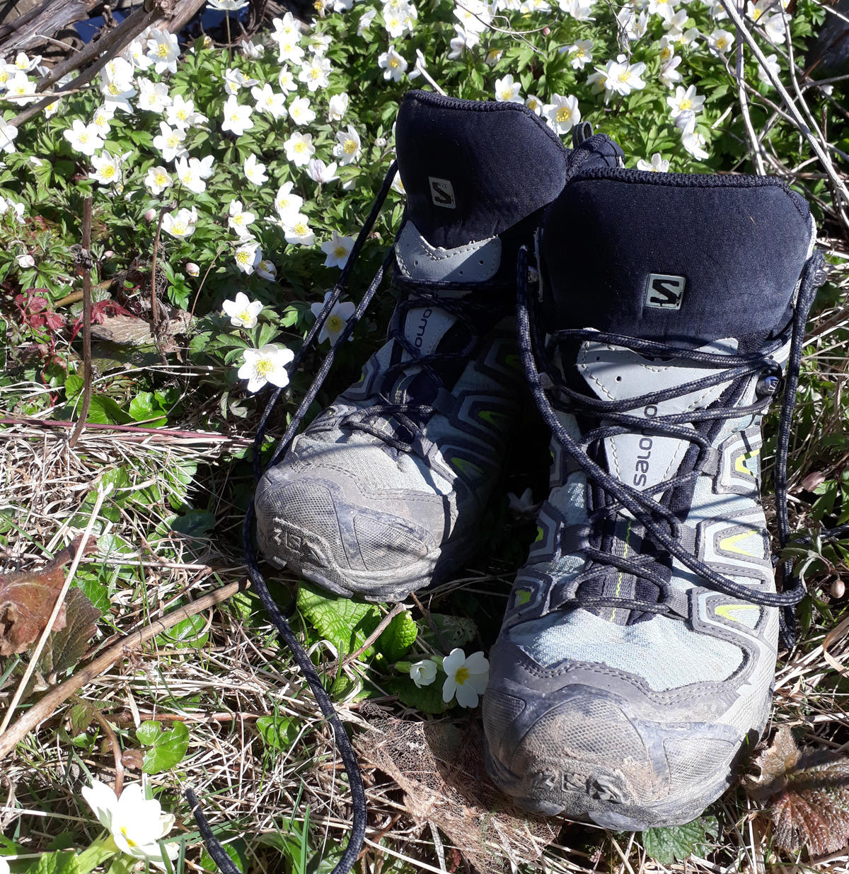 facettenreich unterwegs Wanderschuhe www.regional-finden.ch